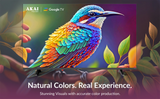 AKAI 139 cm (55) Frameless 4K Ultra HD Smart Google LED TV AL55GU-SFWS (Black)