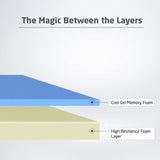 Livpure ortho X Advanced 6 inch otrhopadic Memory foam Mattress King Size 75x72x6