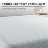 Livpure Regal Basic Memory foam Plus Mattress Queen