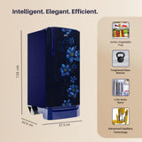 Godrej 183 L 2 Star Direct Cool Single Door Refrigerator (RD R190B THF BR BL, Berry Blue)