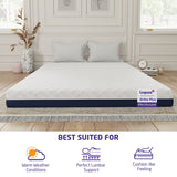 Livpure Smart 8 Othocomfort orthopadic Mattress single size