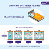 Livpure Smart Jeeva Natural 5 Inch Mattress King Size 72x78x5