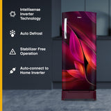 Whirlpool 236 L 4 Star Frost Free Inverter Direct-Cool Single Door Refrigerator (Auto-Defrost, Intellisense Inverter, 260 IMPRO PLUS ROY 4S WINE Breeze-Z, 2024 Model)