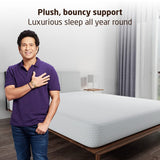Livpure Regal Basic Memory foam Plus Mattress Queen