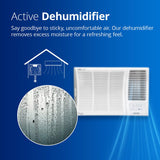 Voltas 185V Vertis Elite A 1.5 Ton 5 Star Inverter Window AC |2-in-1 Adjustable mode| Energy Efficient| Anti dust filter with Anti-Microbial coating | Copper Coil| Sleep Mode | Memory Restart| White