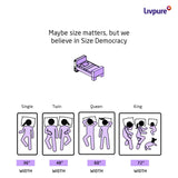 Livpure Regal Basic Memory foam Plus Mattress Queen