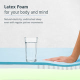 Livpure Regal Basic Memory foam Plus Mattress Queen