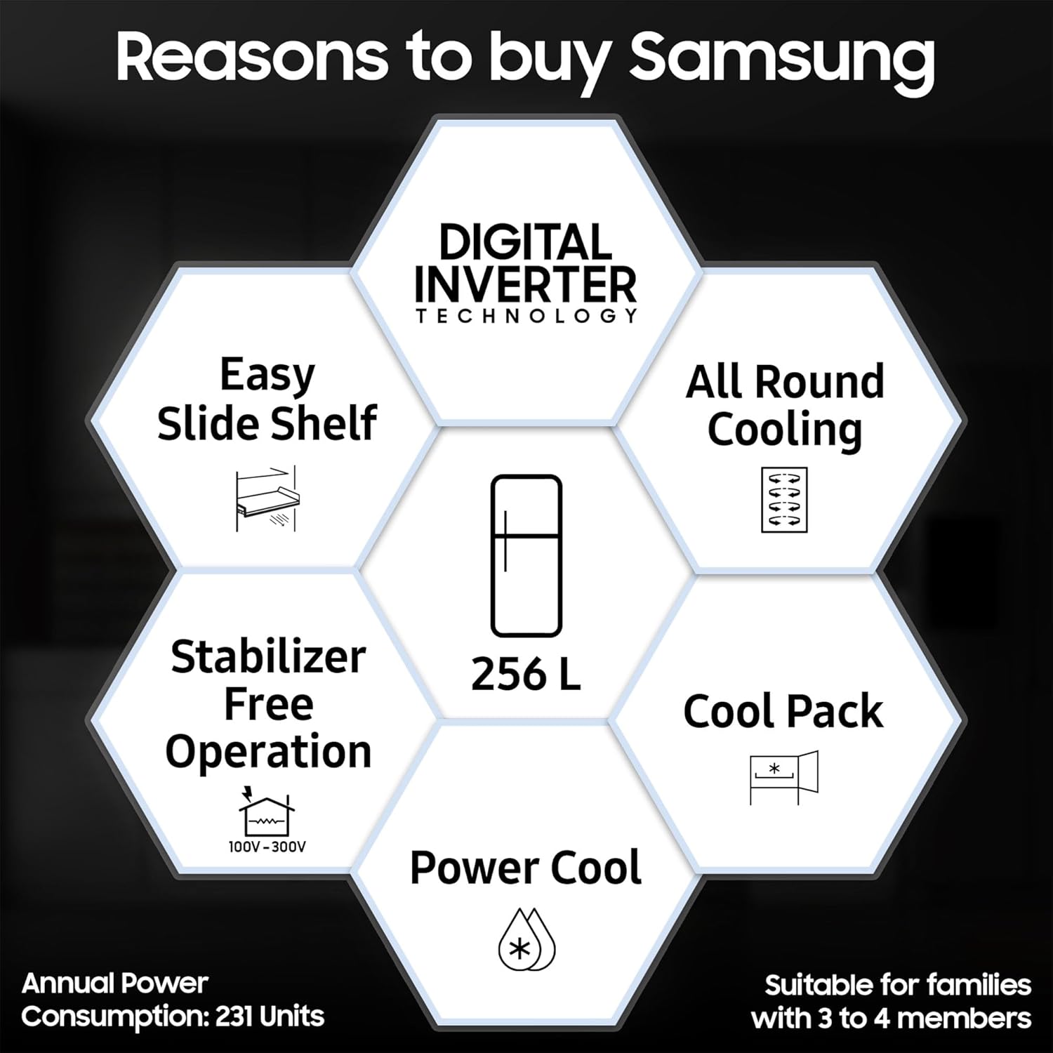Samsung 256L 3 Star Digital Inverter Frost-Free Double Door Refrigerator Appliance (RT30C3433S9/HL,Refined Inox)