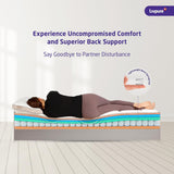 Livpure Smart Siesta Hybrid Orthopedic Spring Mattress | Orthopaedic Nano-Spring System | Euro-Top Design with Plush Quilting for Best-in class comfort | Premium Knitted Fabric | Single 72x36x8 Inches