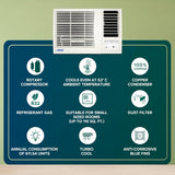 Blue Star 0.8 Ton 3 Star Fixed Speed Window AC ( WFD309L, White)