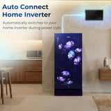 Haier 190 L 4 Star Direct Cool Single Door Refrigerator with Fast Ice Making, Easy Clean Back, Large Vegetable Box (HED-204TMIBA-N, Marine Ivy, Base Stand Drawer, )