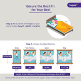 Livpure Smart Siesta Hybrid Orthopedic Spring Mattress | Orthopaedic Nano-Spring System | Euro-Top Design with Plush Quilting for Best-in class comfort | Premium Knitted Fabric | Single 72x36x8 Inches