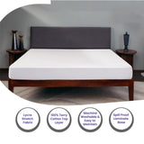 Livpure Mattress Protector 1500