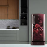 LG 185 L 5 Star Inverter Direct-Cool Single Door Refrigerator (GL-D201ASEU, Scarlet Euphoria, Base stand with drawer)