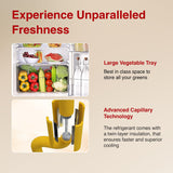 Godrej 180L 2Star Advanced Capillary Technology | Jumbo Vegetable Tray | Wired Shelves | 2.25L Bottle Space | Wide Shelf Space | Direct Cool Single Door Refrigerator (RD EDGE 205B WRF PP BL, Pep Blue)