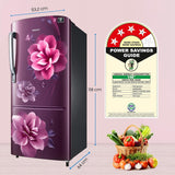 Samsung 183 L, 4 Star, Digital Inverter, Direct-Cool Single Door Refrigerator (RR20C1724CR/HL, Red, Camellia Purple, 2024 Model)