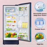 Samsung 215 L, 5 Star, Digital Inverter, Direct-Cool Single Door Refrigerator (RR23D2H359U/HL)