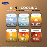 Carrier 1 Ton 5 Star Wi-Fi Smart Flexicool Inverter Split AC (ESTER EDGE FXi (Wi-Fi), CAI12EE5R35W0,White)