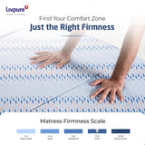 Livpure Mattress Comfort Foam Mattress Single: 36x72x4 LSH-MAT-RE-CF4-111