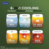 Carrier 2 Ton 3 Star Wi-Fi Smart Flexicool Inverter Split AC (,ESTER EDGE FXi (Wi-Fi),CAI24EE3R35W0,White)