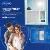 Carrier 1.5 Ton 5 Star Inverter Window AC(, Estra EXi -CIW18SC5R32F0,White)