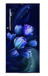 LG 185 L 1 Star Single Door Refrigerator Blue Tulip (GL-B199OBTB)