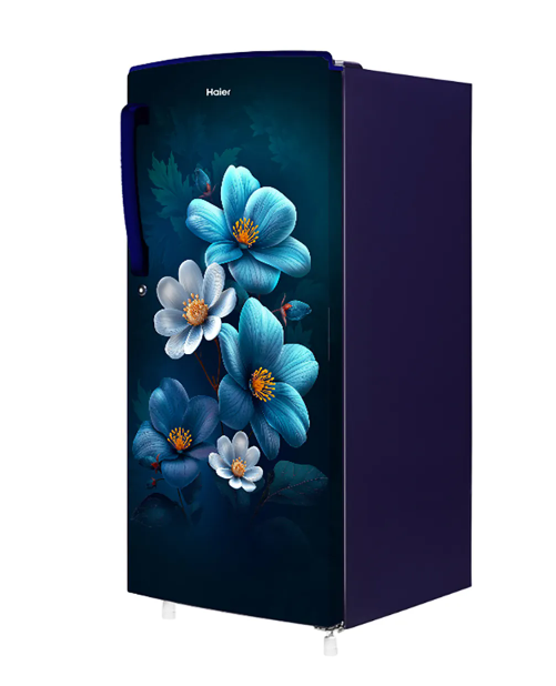 Haier 185L 1 Star Marine Anemone Single Door Refrigerator,HRD-2061SMAA-N