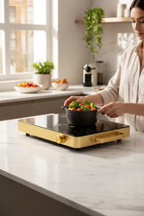 Surya Him Star Infrared Induction Cooker Induction Stove Model SK 1100 two side handle