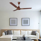 Vivha polycab celling fan 1200mm- luster brown