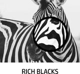 HP 802 Black Ink Cartridge