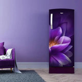 Whirlpool 192 L Direct Cool Single Door 5 Star Refrigerator(Dents and Scratches)