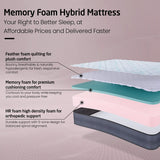 Livpure Mattress Ortho CurvX 6-Inch-Single : 72x36x6 (RE LSH-MAT-RE-ORCX6-111