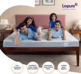 Livpure Ortho Spring 8 Inch Single72x35x8