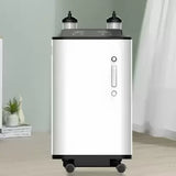 Yameina ZY-10ZW Oxygen Concentrator