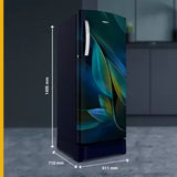 Whirlpool 236 L 5 Star Frost Free Inverter Direct-Cool Single Door Refrigerator ( 260 IMPRO PLUS ROY 5S INV BLUE BREEZE-Z)