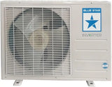 Blue Star 1 Ton 2 Star Inverter Split AC (FB212DNU)