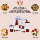 Pringle (JMG) 500 W Juicer Mixer Grinder (REAL)
