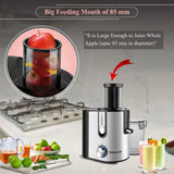 Inalsa Taurus Juice Extractor Liquafruits Pro