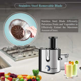 Inalsa Taurus Juice Extractor Liquafruits Pro