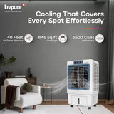 LIVPURE 70 L Desert Air Cooler (WHITE & BLUE, ICEBLAST-70L)