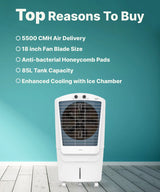 Livpure 85 L Desert Air Cooler (White and Blue, AEROFROST-85L)