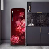 Whirlpool 207 L Direct Cool Single Door 3 Star Refrigerator (Wine Mulia, 230 IMPRO PRM 3S WINE MULIA)