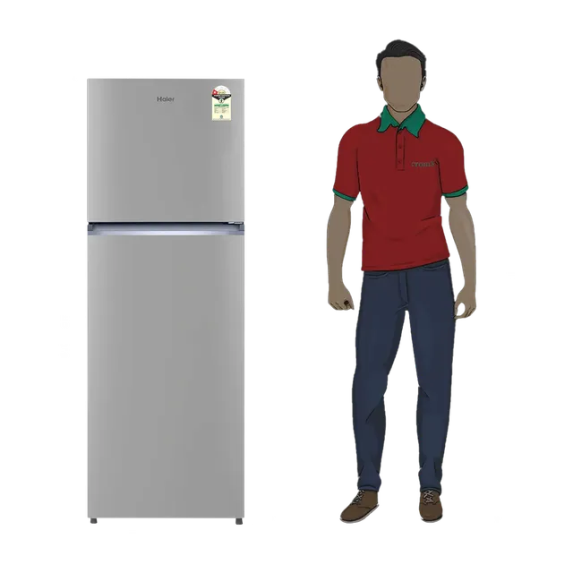 Haier 240L 2 Star Frost Free Double Door Refrigerator (HRF-2901IEBSA-P, Brushline Silver)