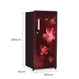 WHIRLPOOL 192 L 3 Star Direct-Cool Single Door Refrigerator (215 IMPC PRM 3S WINE FLOWER RAIN-Z, 2023 Model)