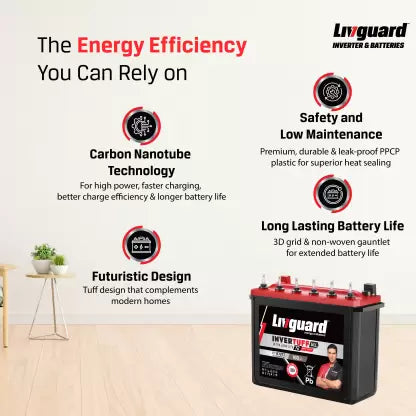 Livguard IT 1672TT Tubular Inverter Battery (160Ah)