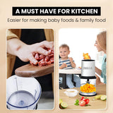 INALSA Electric Chopper for Kitchen With 450 Watts Pure Copper Motor 2 Speed Option|Chop, Mince, Puree, Dice|Twin Blade Technology|One Touch Operation,Long Power Cord-Bullet Inox