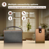 PHILIPS TAS2218/94 10 W Bluetooth Speaker