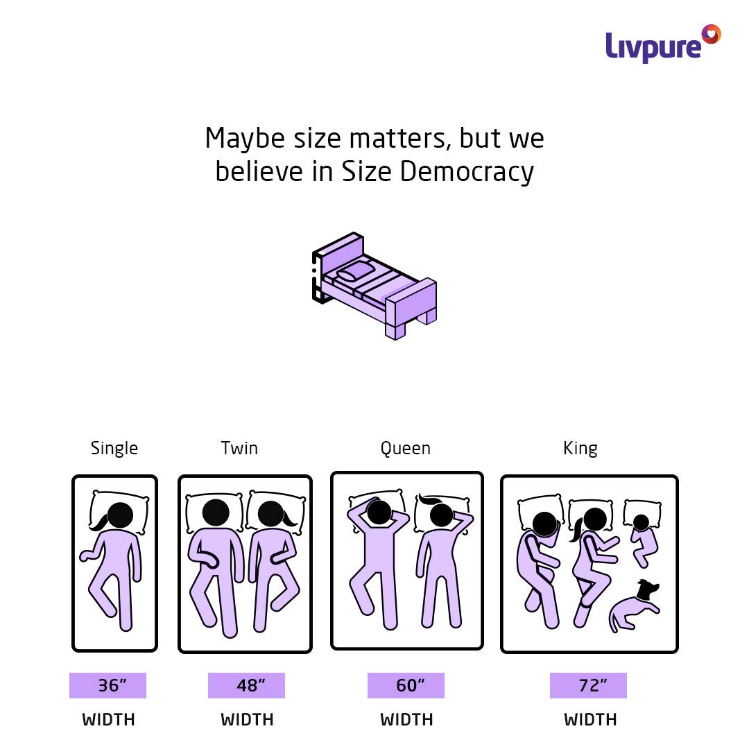 Livpure Regal Basic Memory foam Plus Mattress Queen