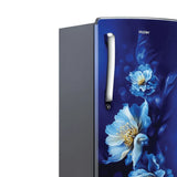 Haier 185L 2 Star Direct Cool Single Door Refrigerator|Toughened Glass Shelves|Large Veg Box|Fast Freezing with Longer Cooling Retention|Easy & Safe Clean Back (HRD-2062CMSF-N, Marine Spring Floral)