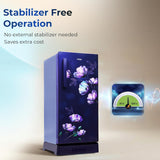 Haier 190 L 4 Star Direct Cool Single Door Refrigerator with Fast Ice Making, Easy Clean Back, Large Vegetable Box (HED-204TMIBA-N, Marine Ivy, Base Stand Drawer, )